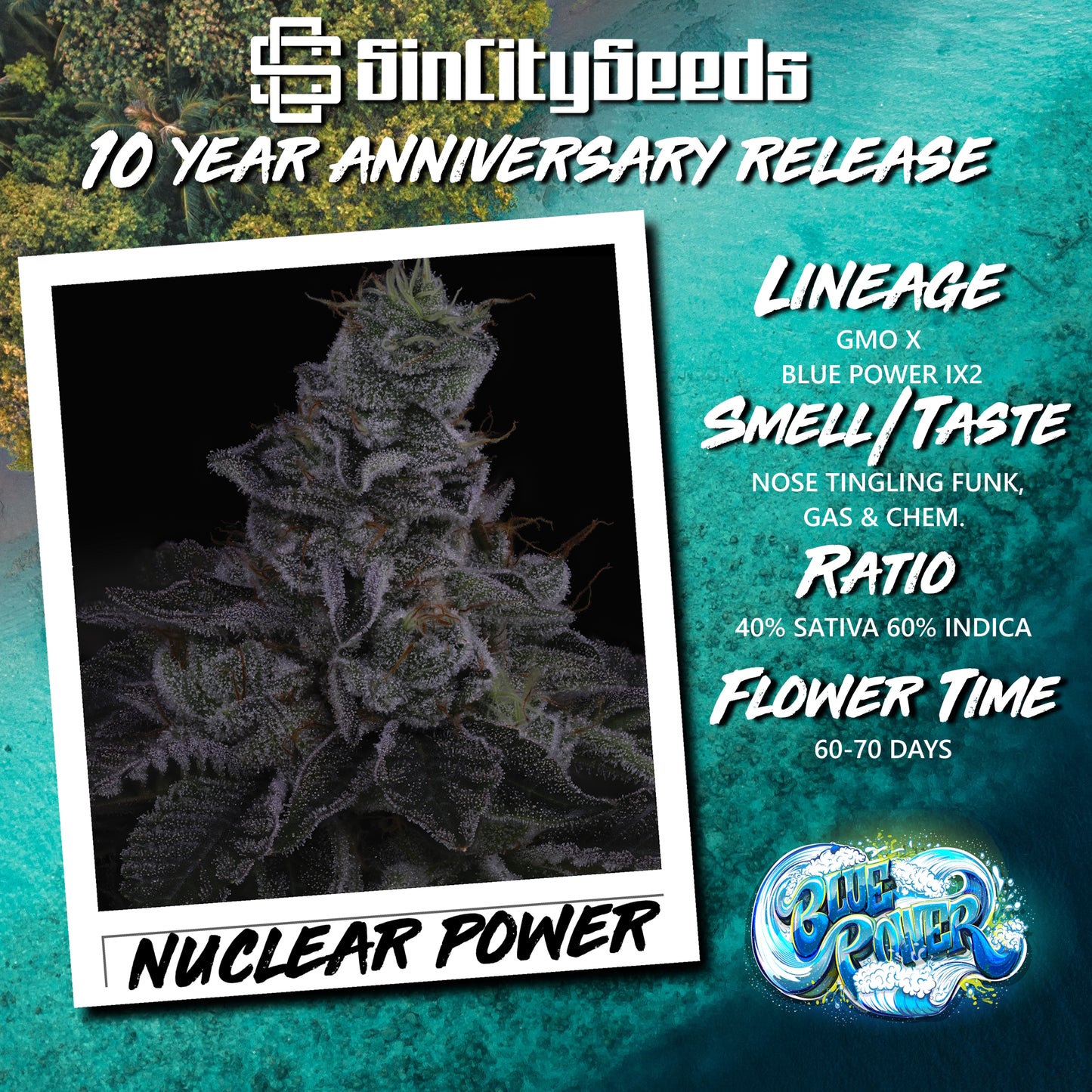 Nuclear-Power-Seeds