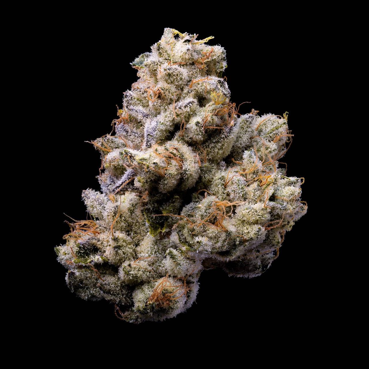 ORANGE CAKE STRAIN, GLAZED APRICOT GELATO X MEDELLIN, LEMONNADE FEMINIZED CANNABIS SEEDS