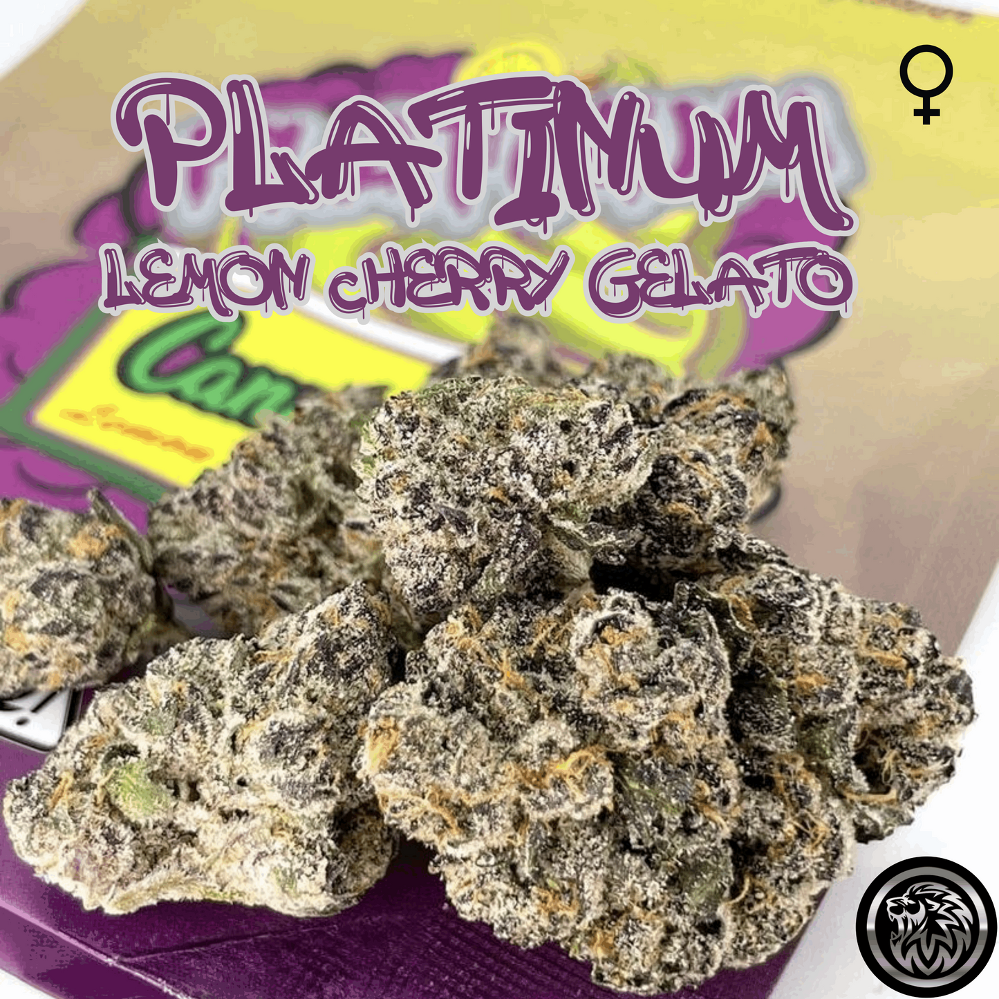Platinum Lemon Cherry Gelato, GSC x Lemon Haze