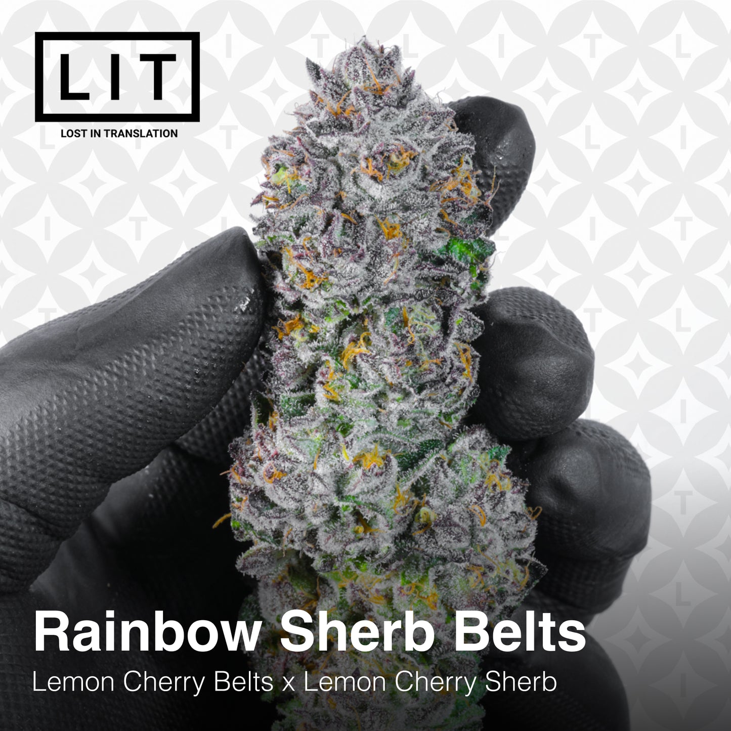 RAINBOW SHERB BELTS (FEM)