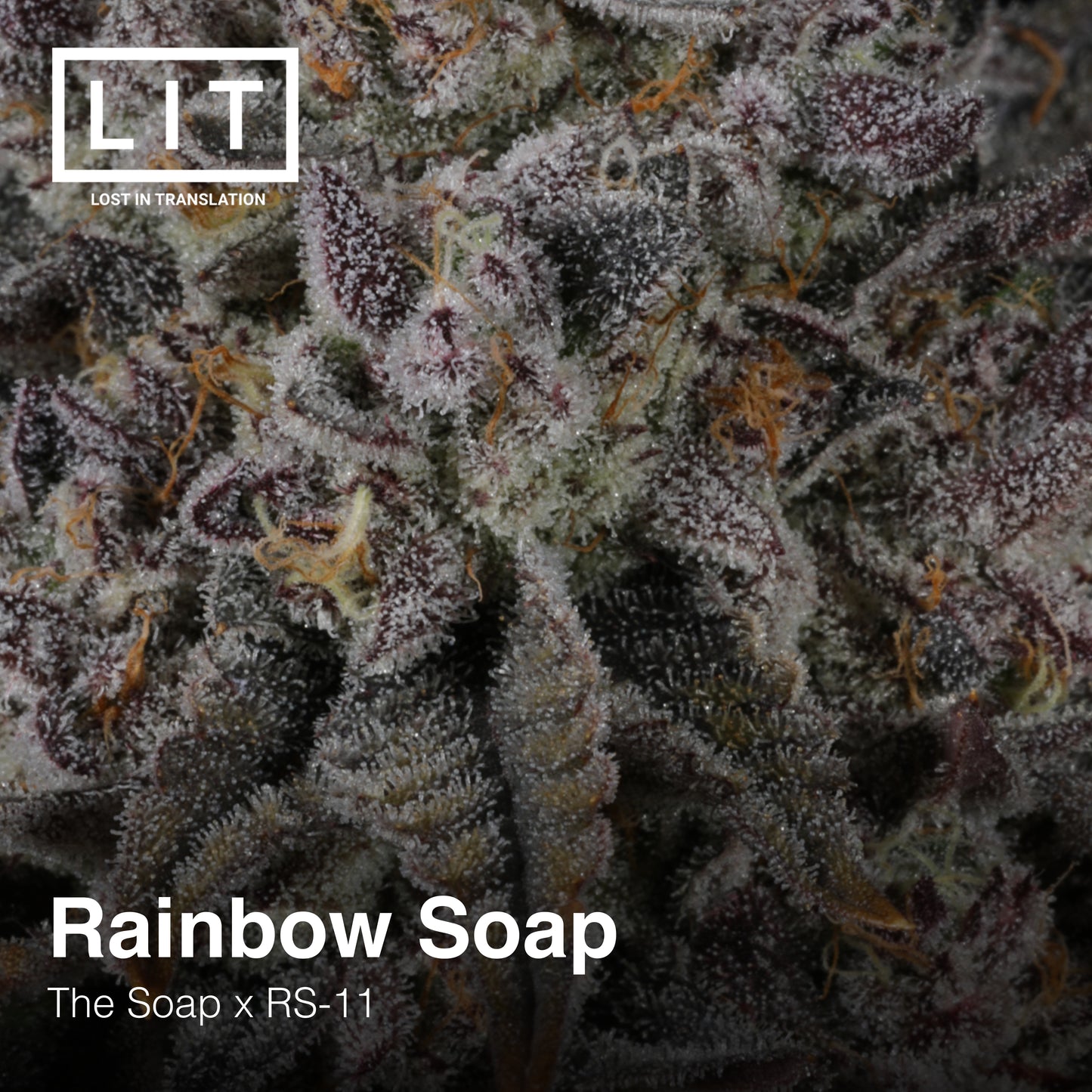 RAINBOW SOAP FEM