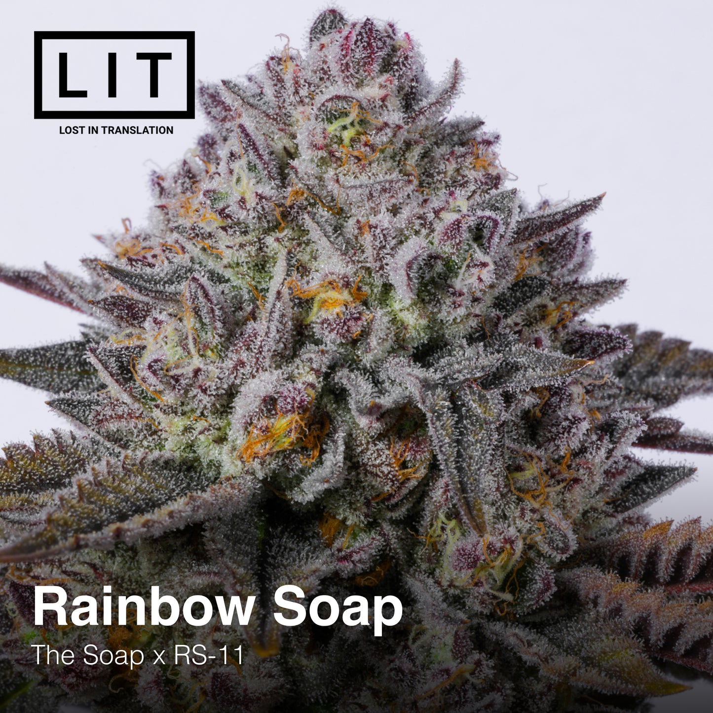 RAINBOW SOAP FEM