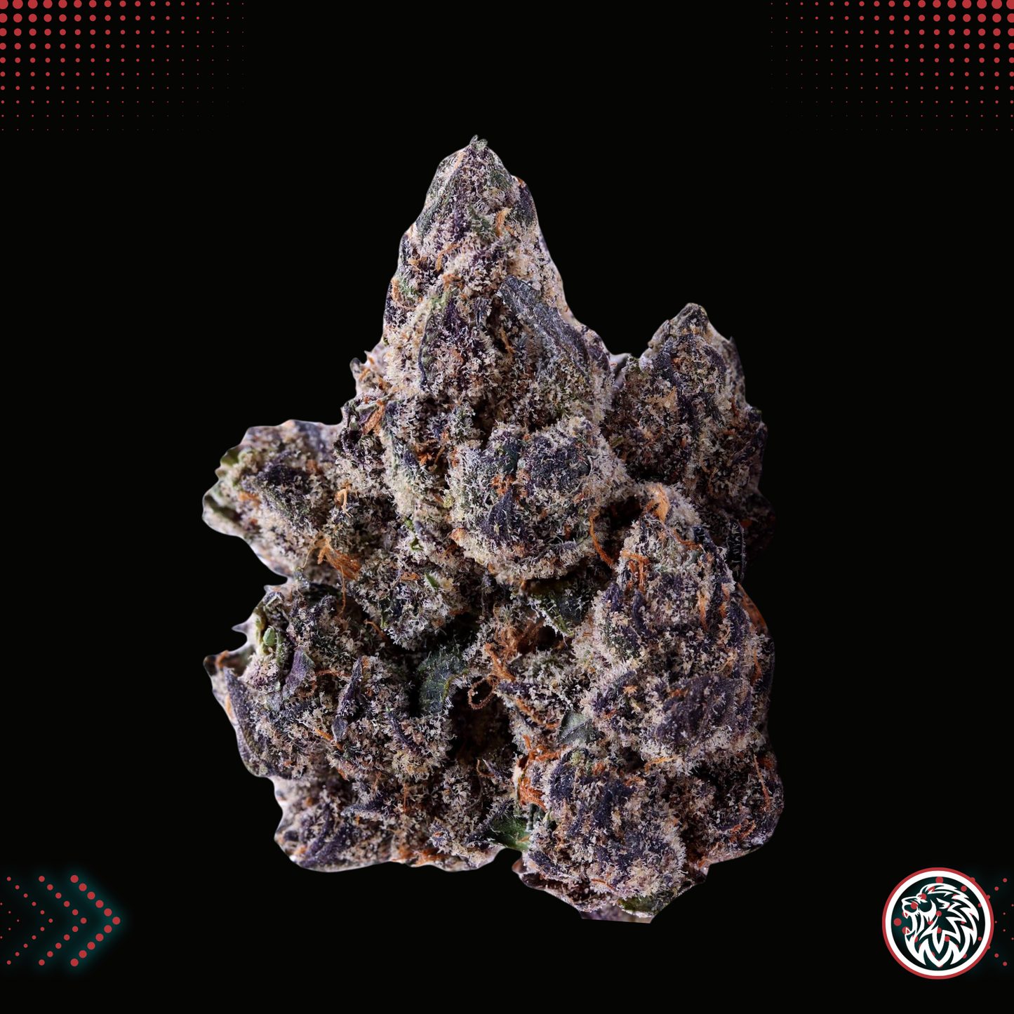 Obama Runtz S1 Strain Feminized Cannabis Seeds