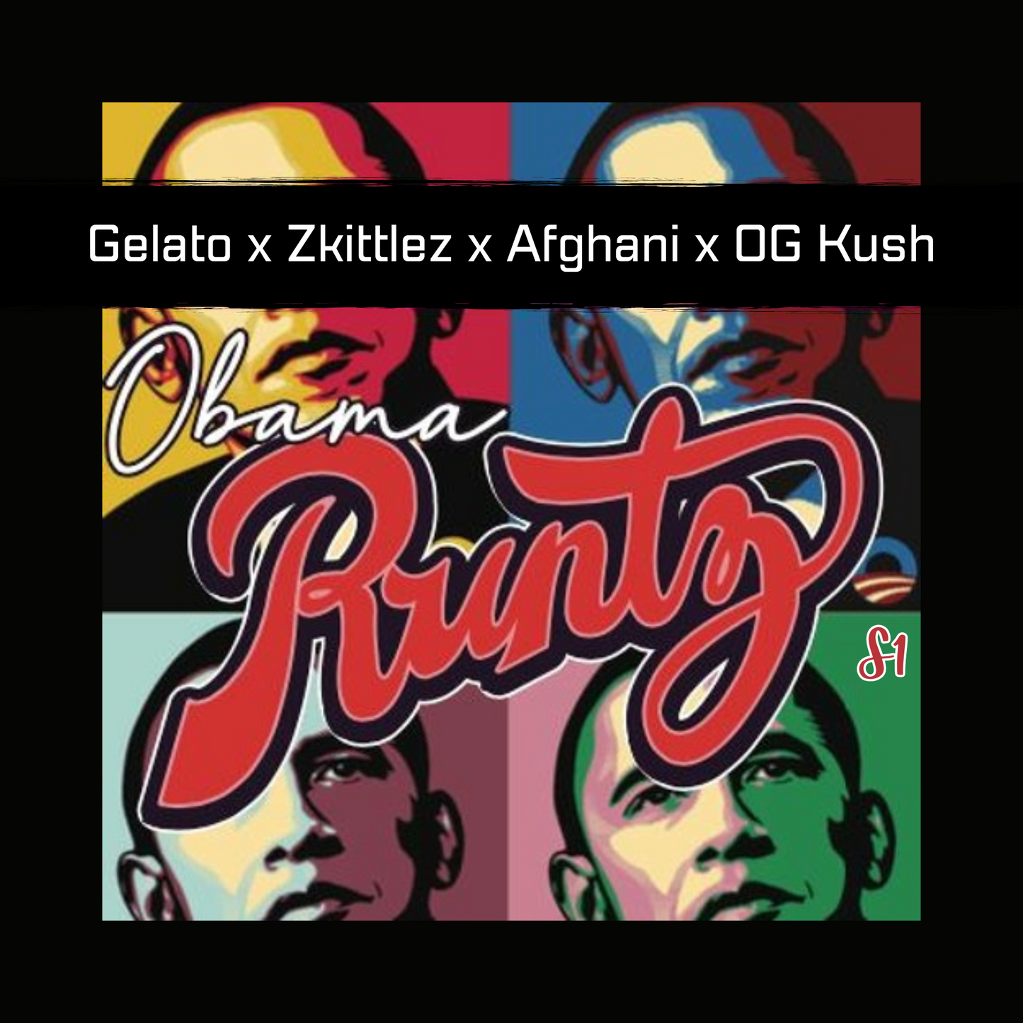 Obama Runtz S1 Strain Feminized Cannabis Seeds