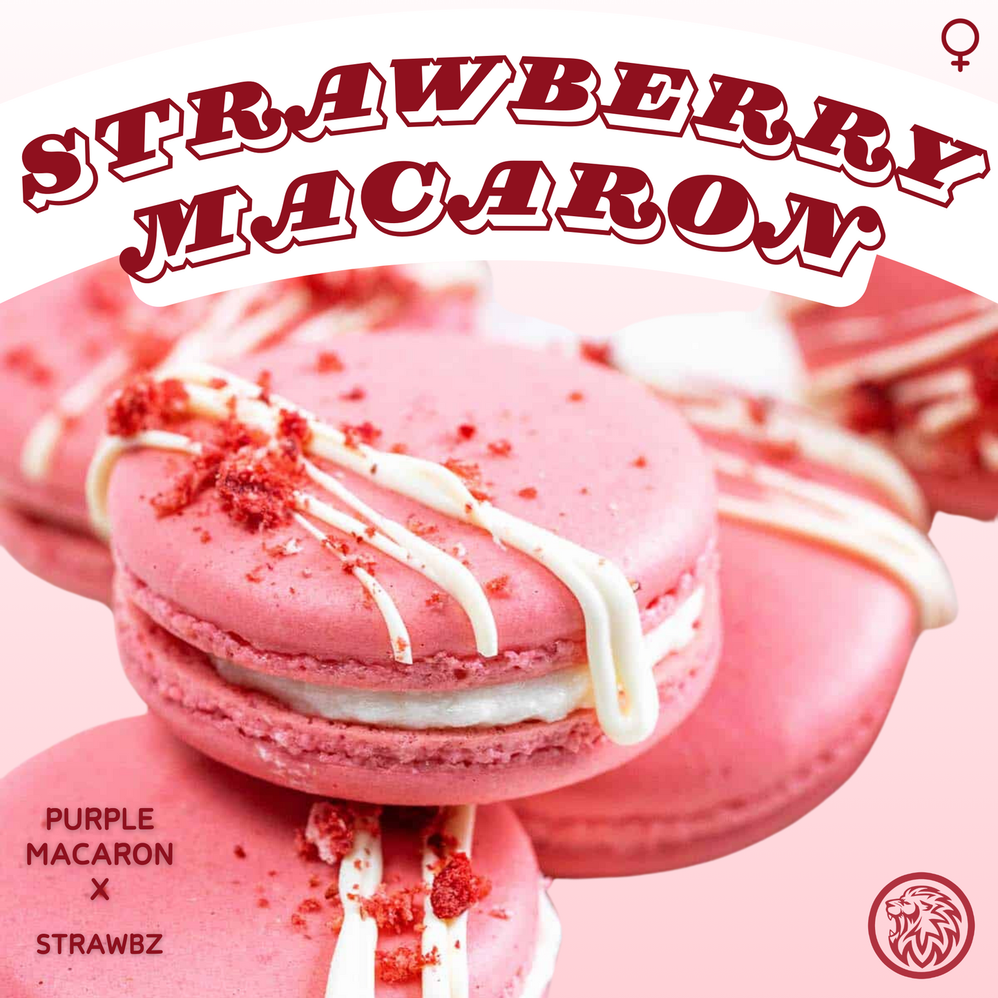 Strawberry Macaron Strain Feminized Cannabis Seeds
