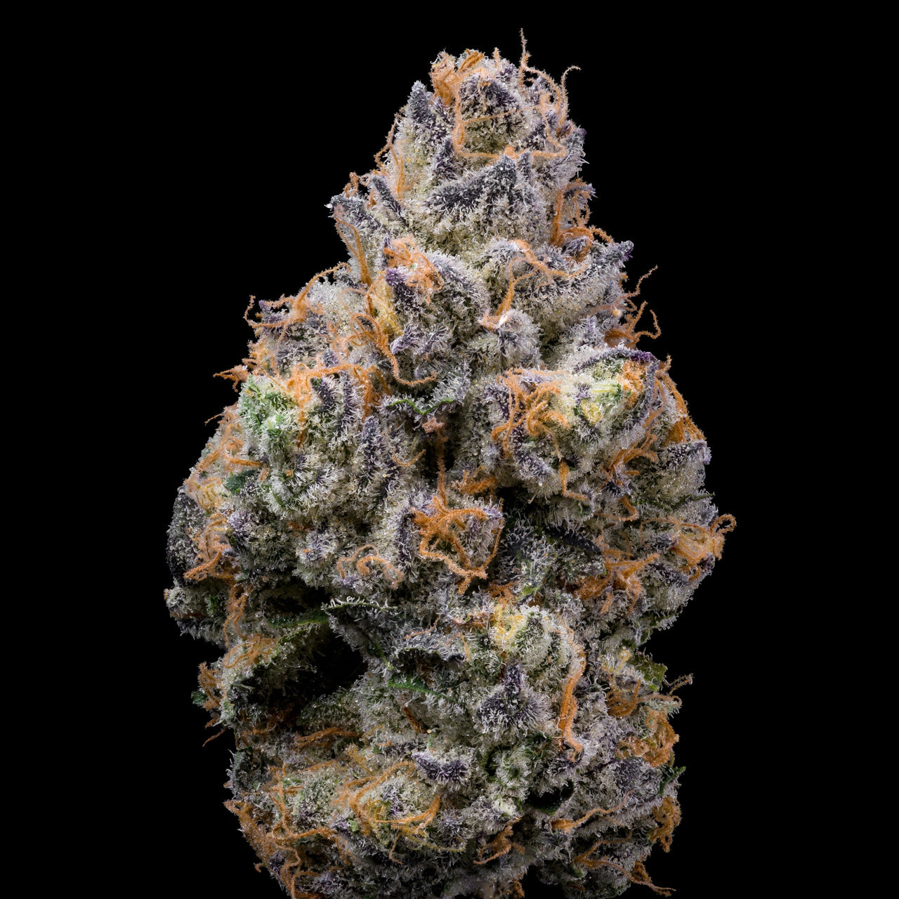 TIGER PAW STRAIN, ANIMAL MINTZ BX1 X MEDELLIN, LEMONNADE FEMINIZED CANNABIS SEEDS