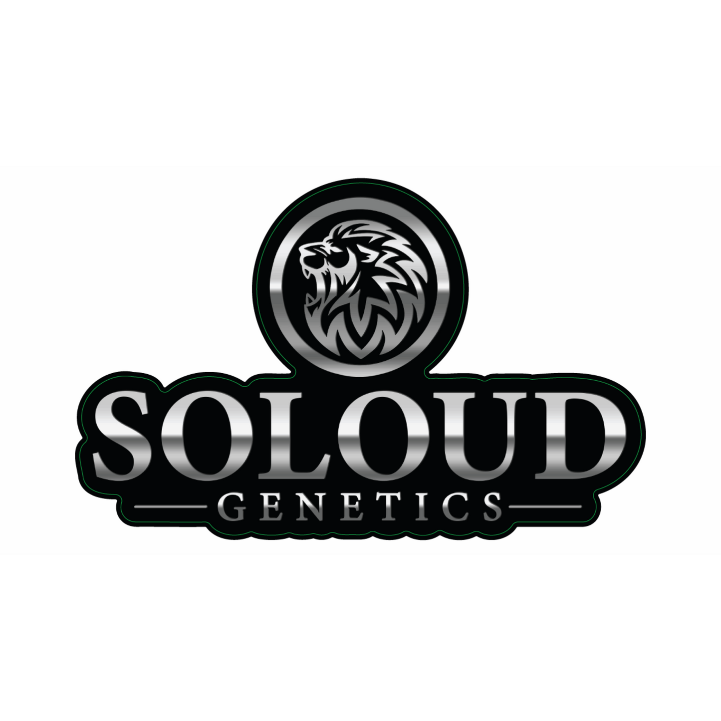 GLOSS SOLOUD GENETICS STICKER 4"