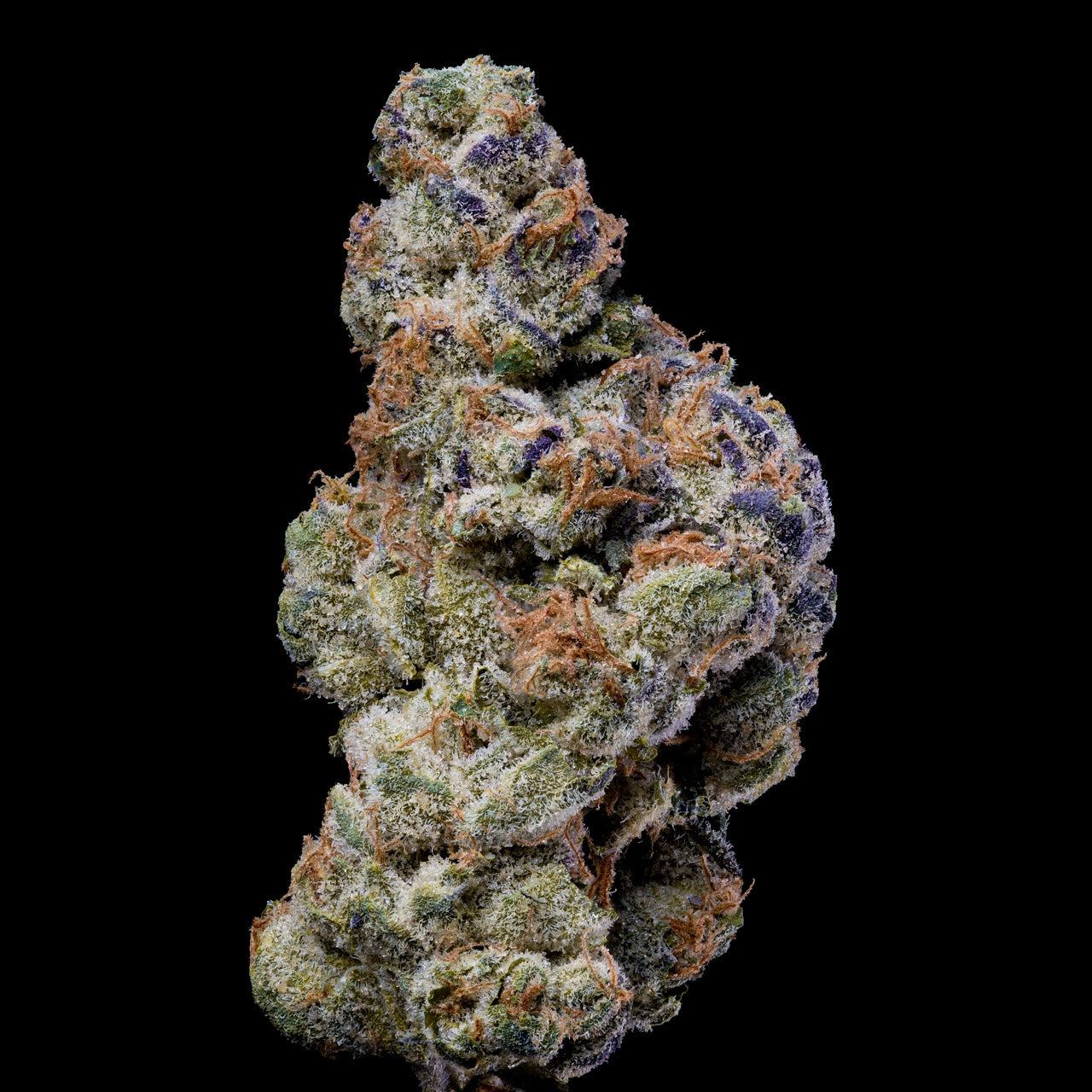WHITE COCONUT PIE STRAIN, BERRY PIE X MEDELLIN, LEMONNADE FEMINIZED CANNABIS SEEDS