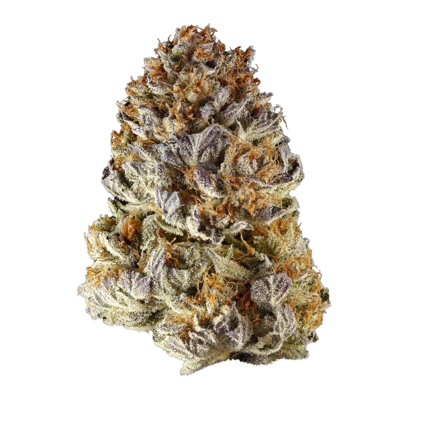 ZKITTLEZ STRAIN FEMINIZED CANNABIS SEEDS