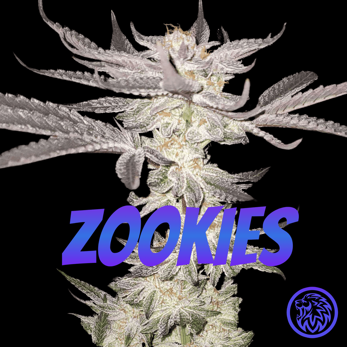 ZOOKIES Animal Cookies x Gorilla Glue #4