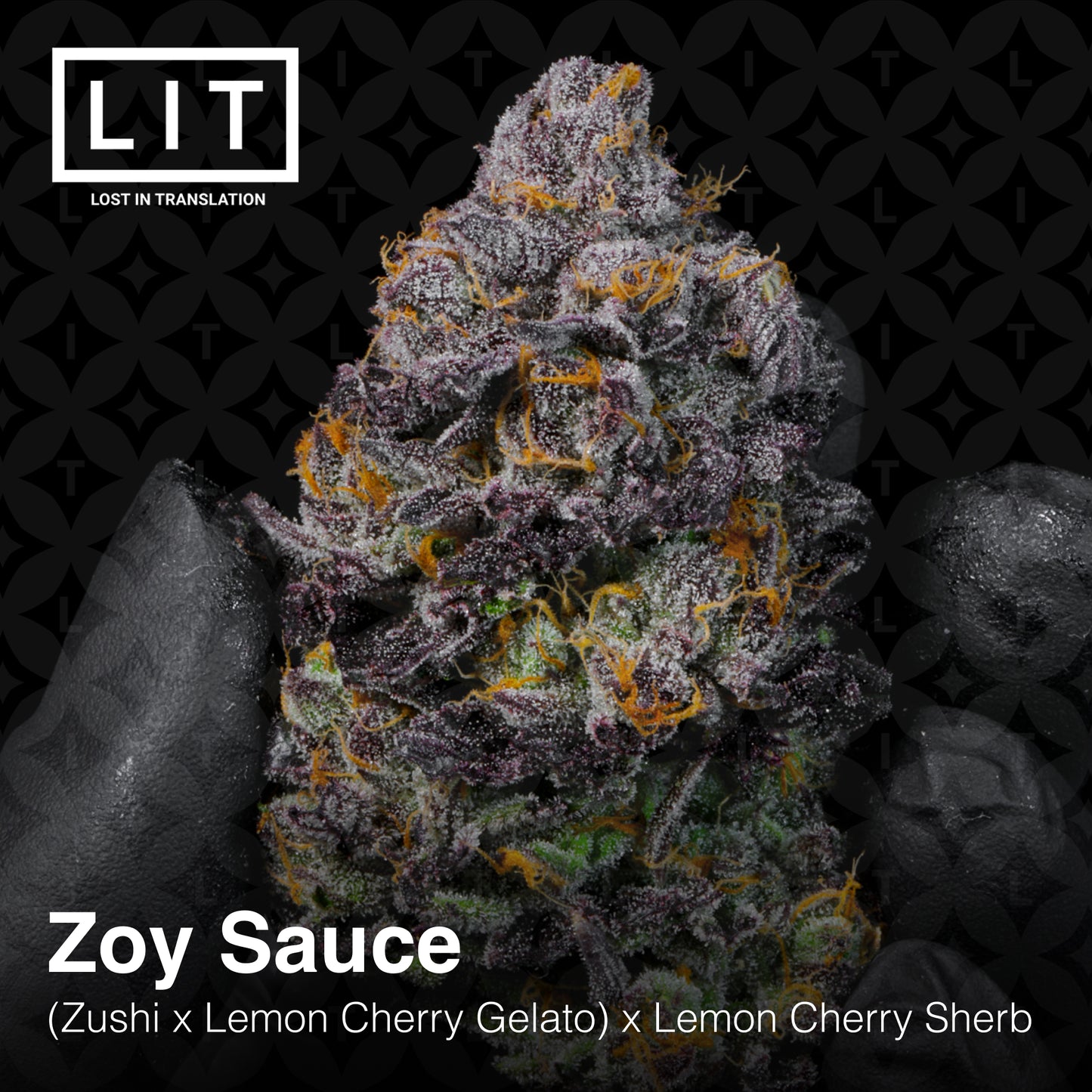 ZOY SAUCE (FEM)