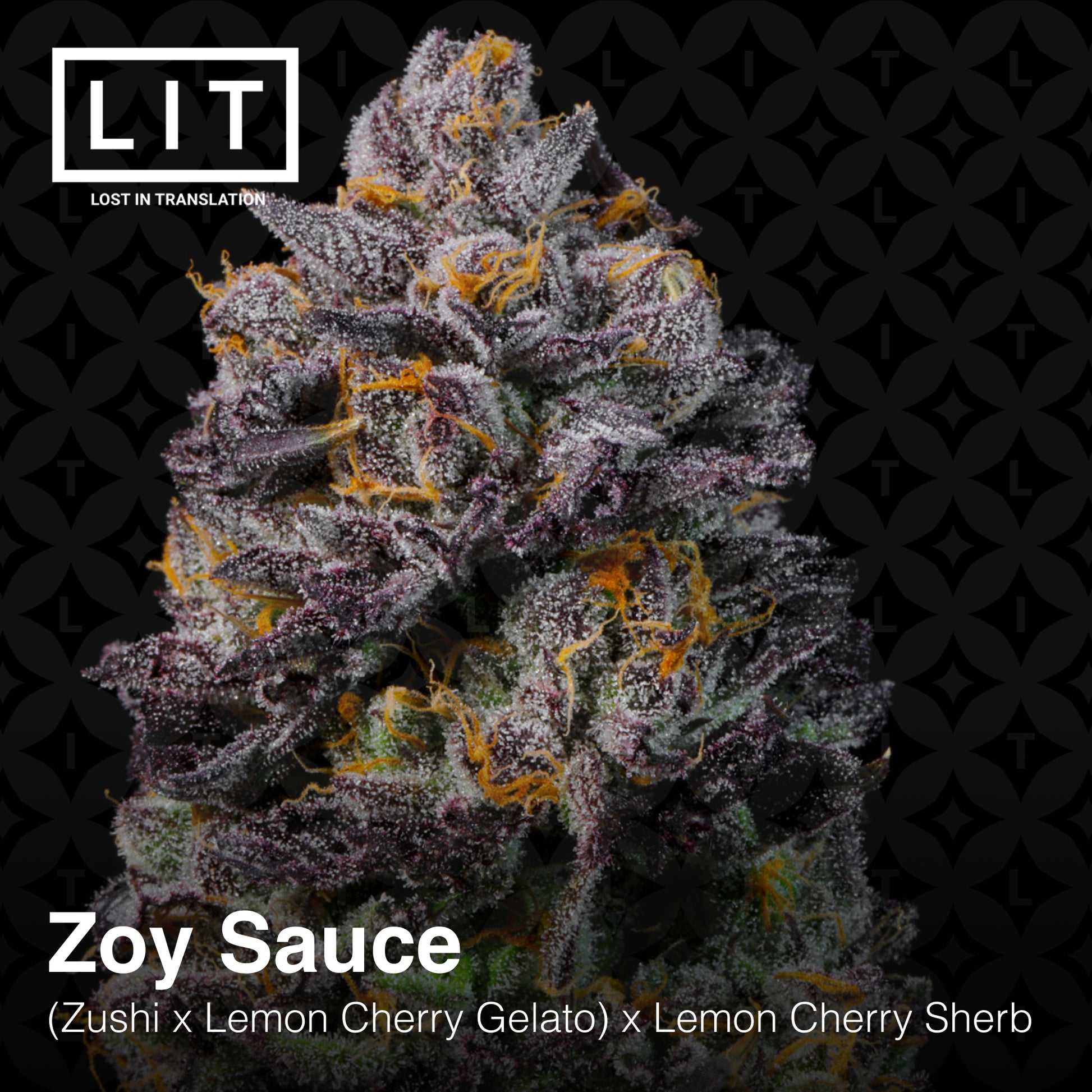Zoy Sauce Seeds Lit Farms