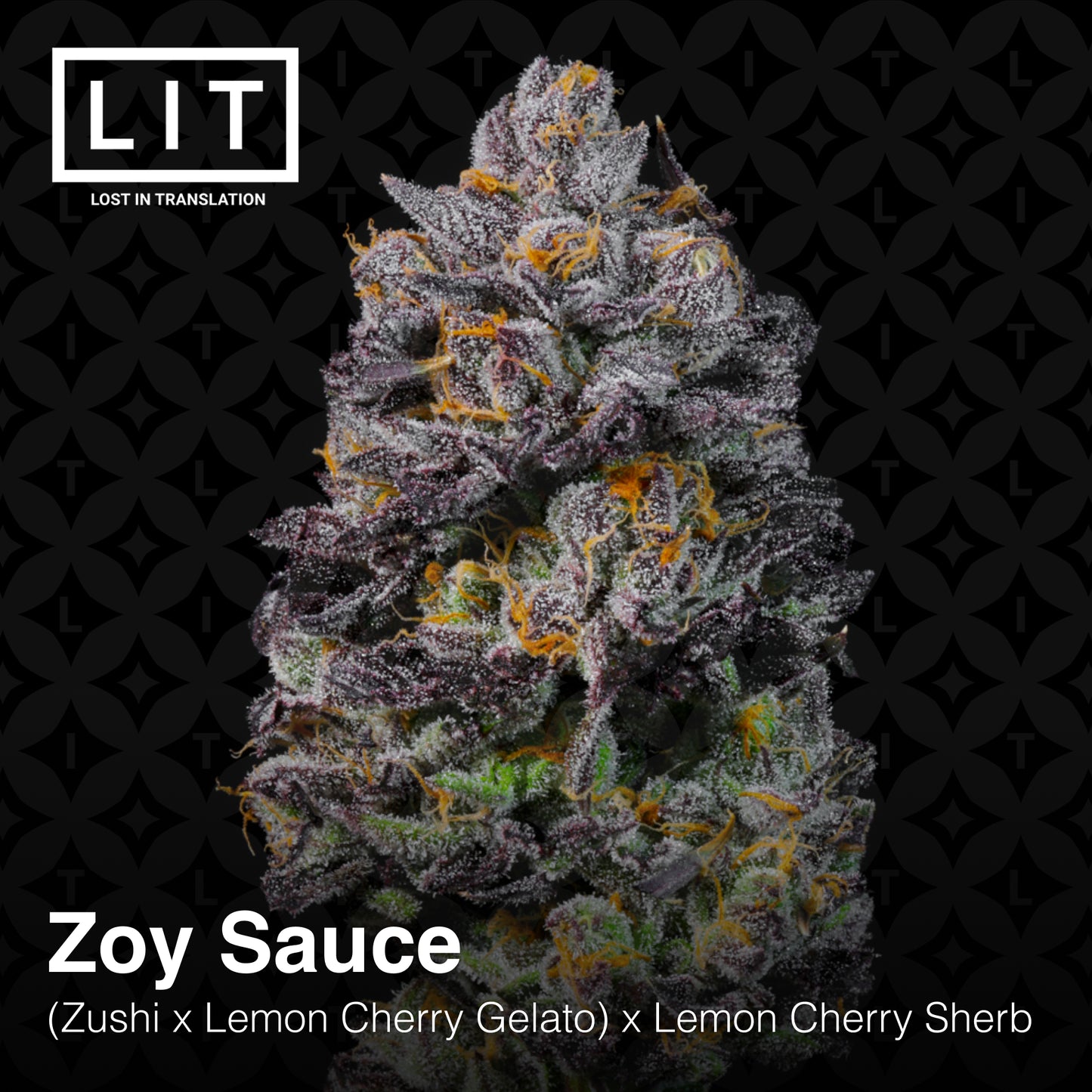 ZOY SAUCE (FEM)