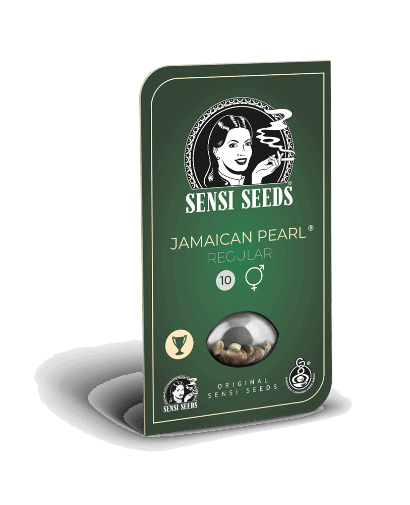 JAMAICAN PEARL (REG)