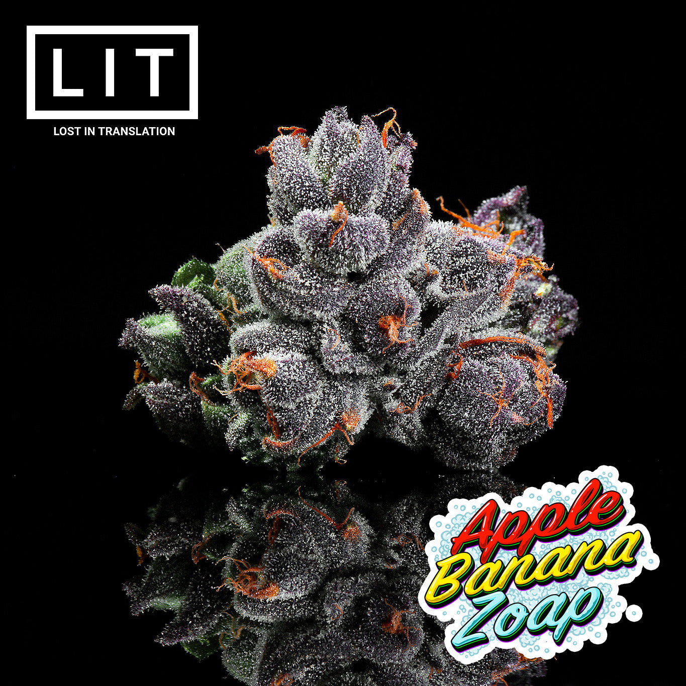 APPLE BANANA ZOAP (APPLES & BANANAS X ZOAP) FEM