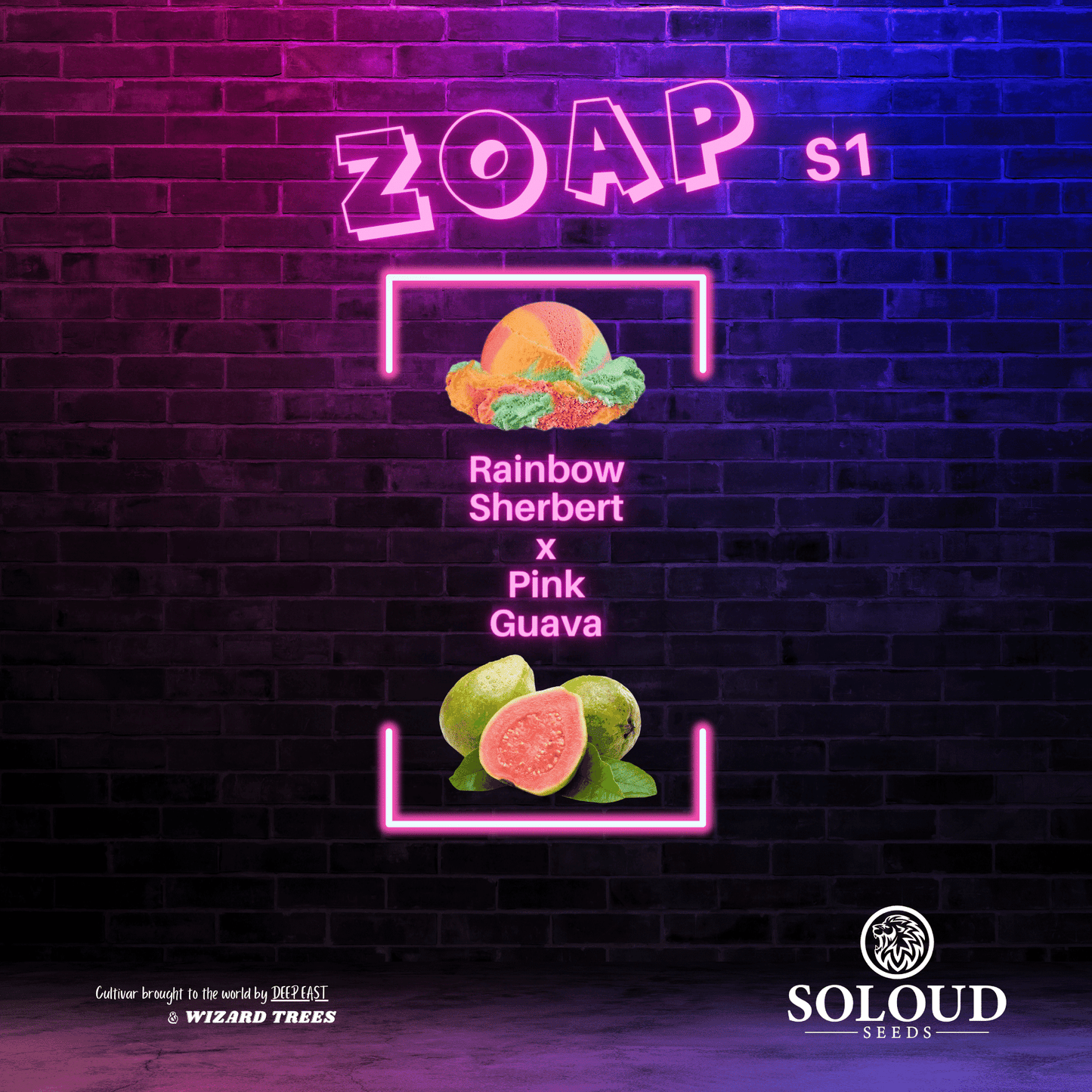 Zoap S1, Feminized Zoap Seeds, Cannabis