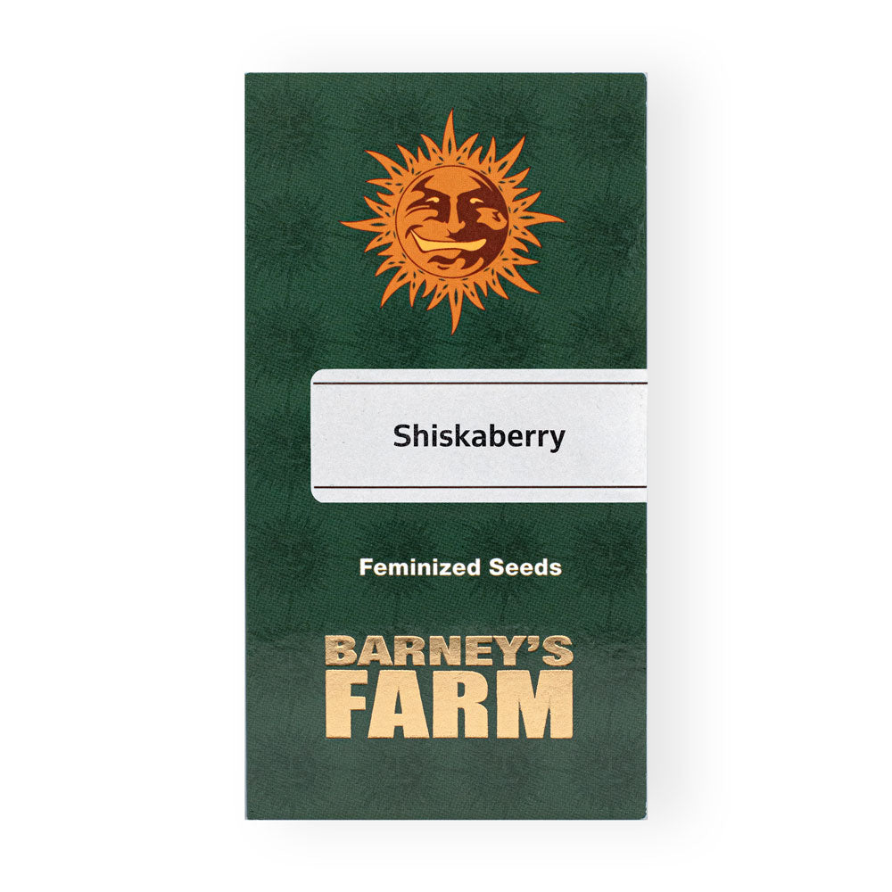 SHISKABERRY (FEM)