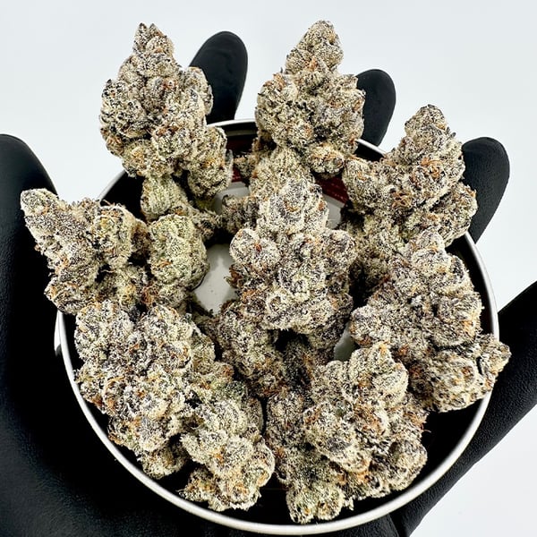 Stinky Twinky (Rainbow Chip x Baker’s Dozen) FEM