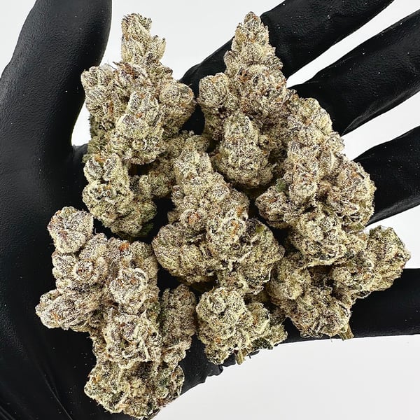 Boom Squad (Falcon Heavy x Baker’s Dozen) FEM