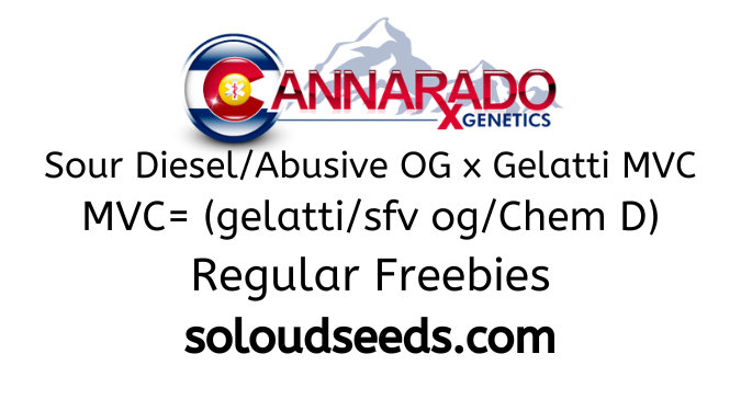 Gusherz x Zawtz (Fem)
