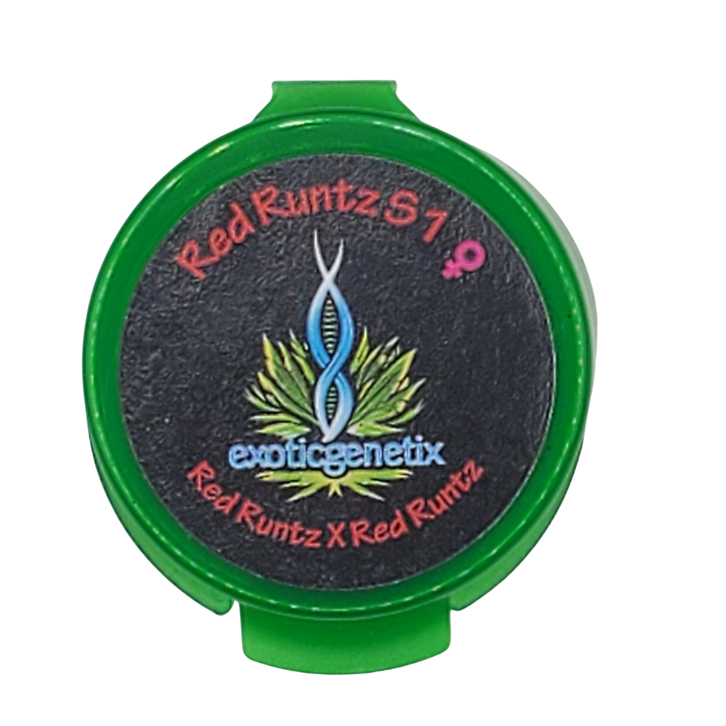 Red Runtz S1 freebie