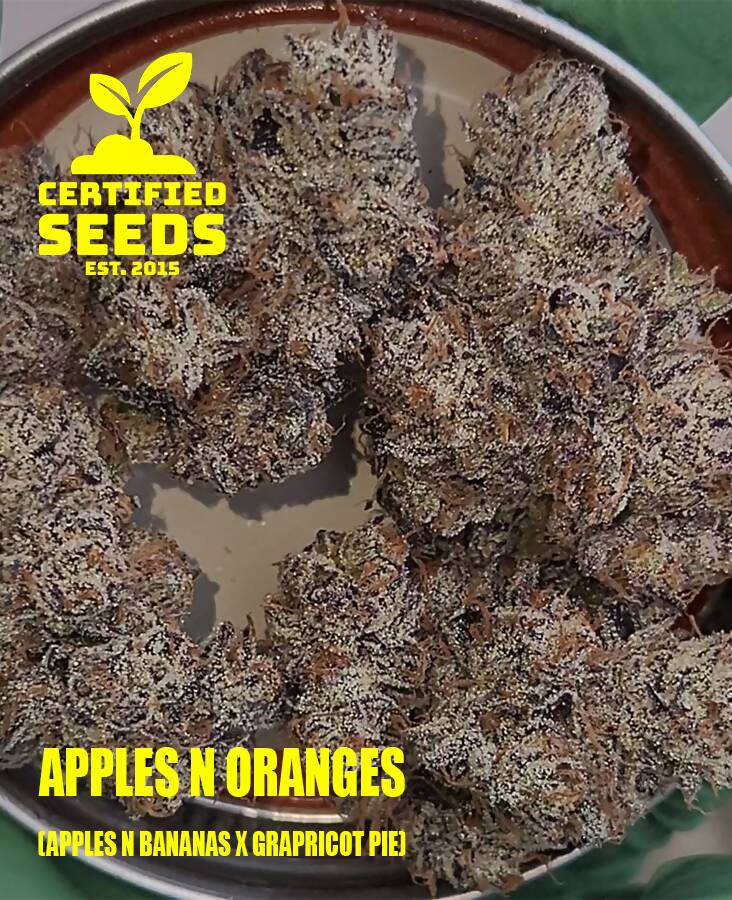 Apples n Oranges (FEM)