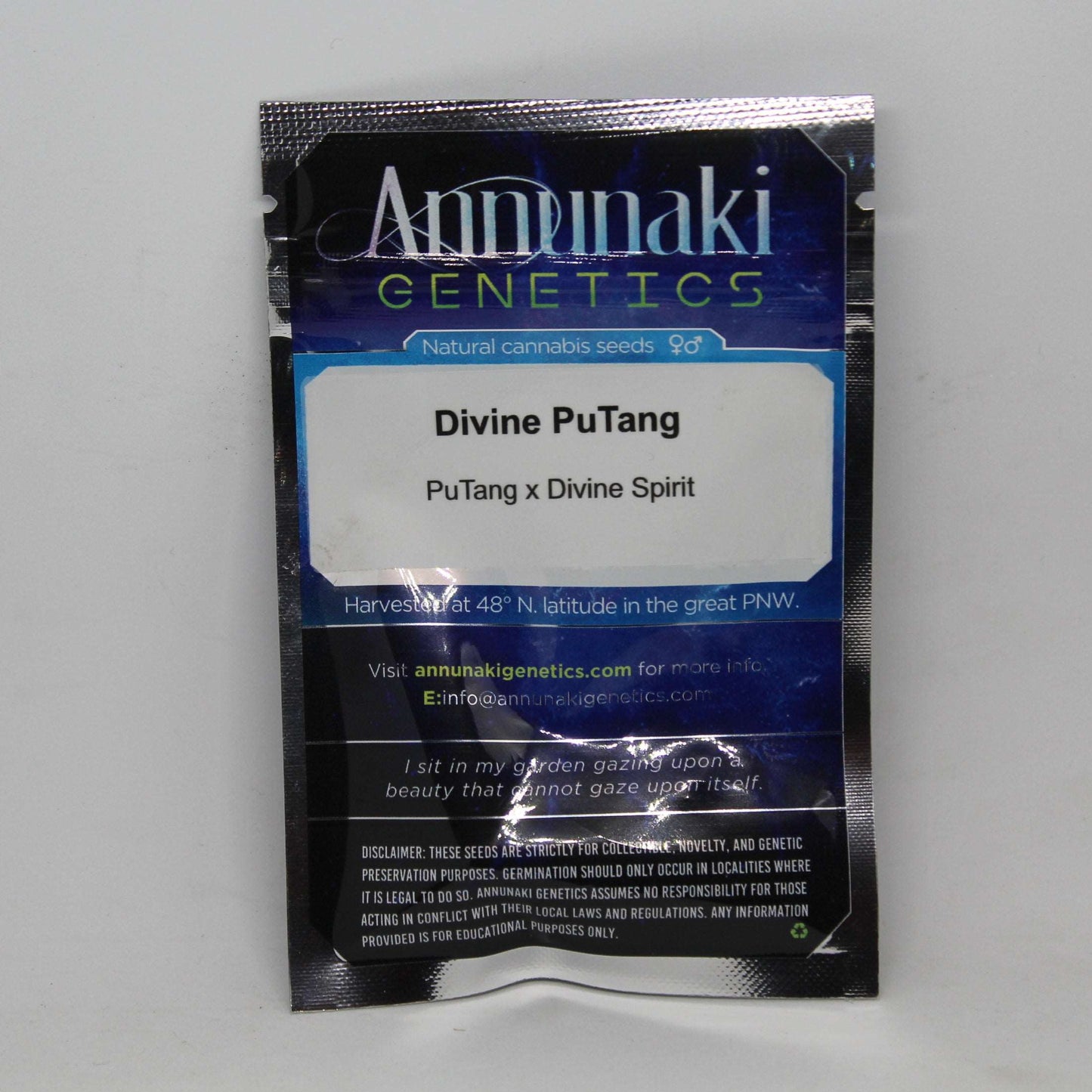 Divine PuTang - PuTang x Divine Spirit