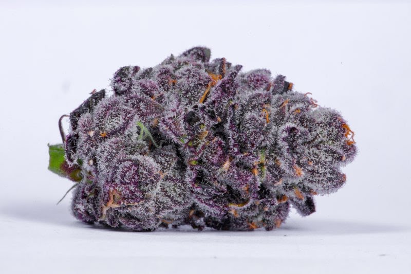 Lit Farms Lemon Cherry Pie