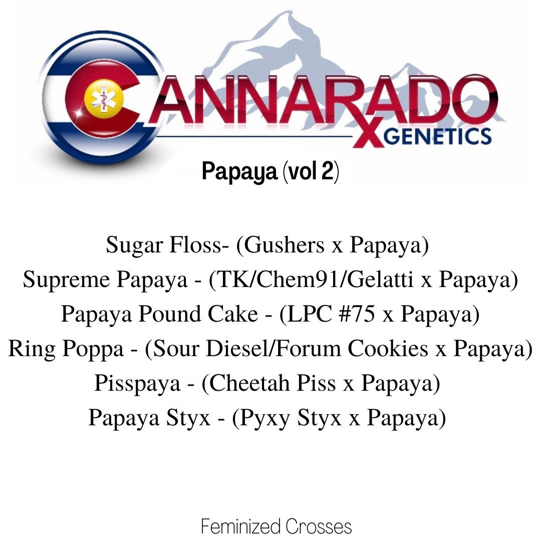 PAPAYA STYX (Pyxy Styx (Wedding Pie) x Papaya) Fem