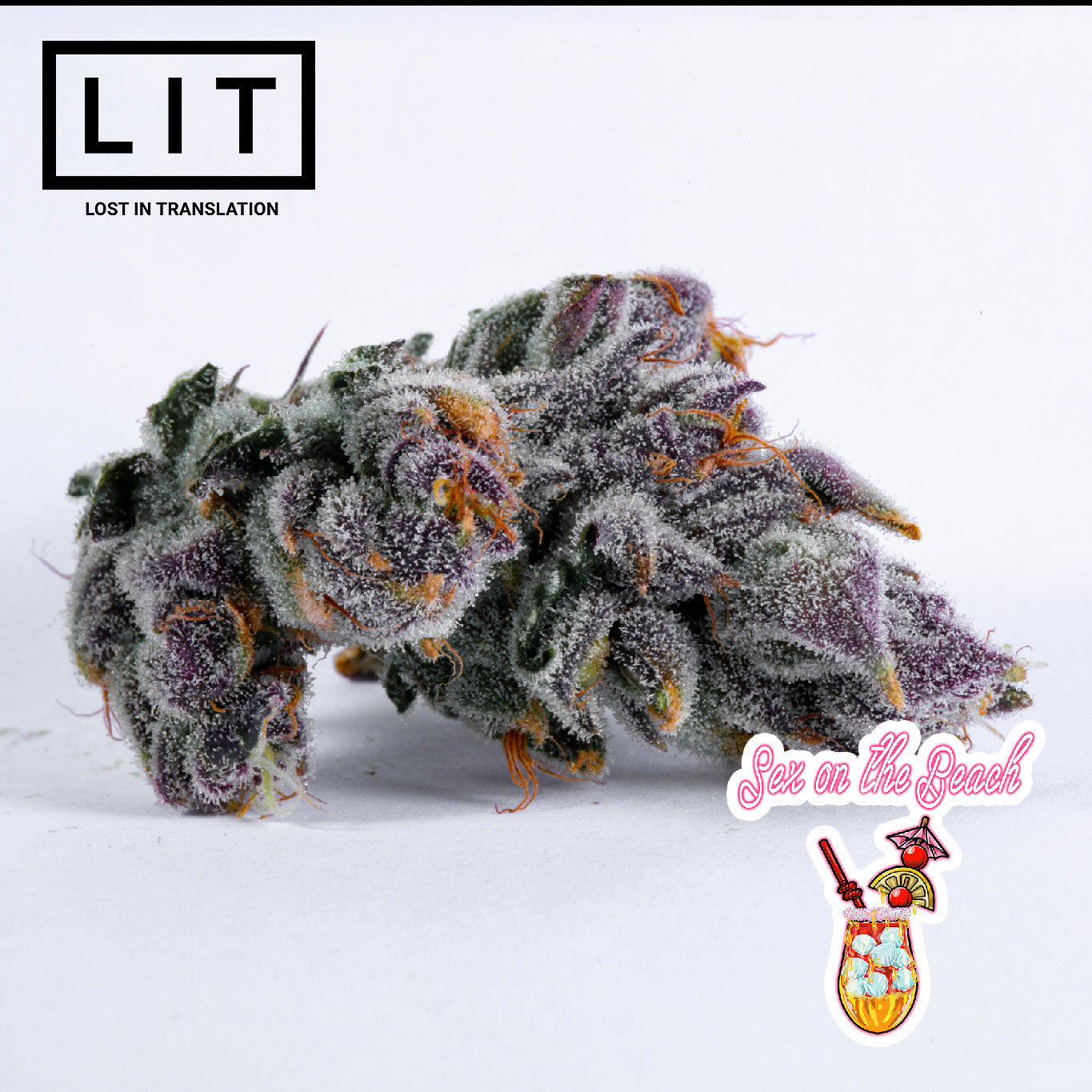 SEX ON THE BEACH (LEMON CHERRY GELATO X ZOAP) FEMS