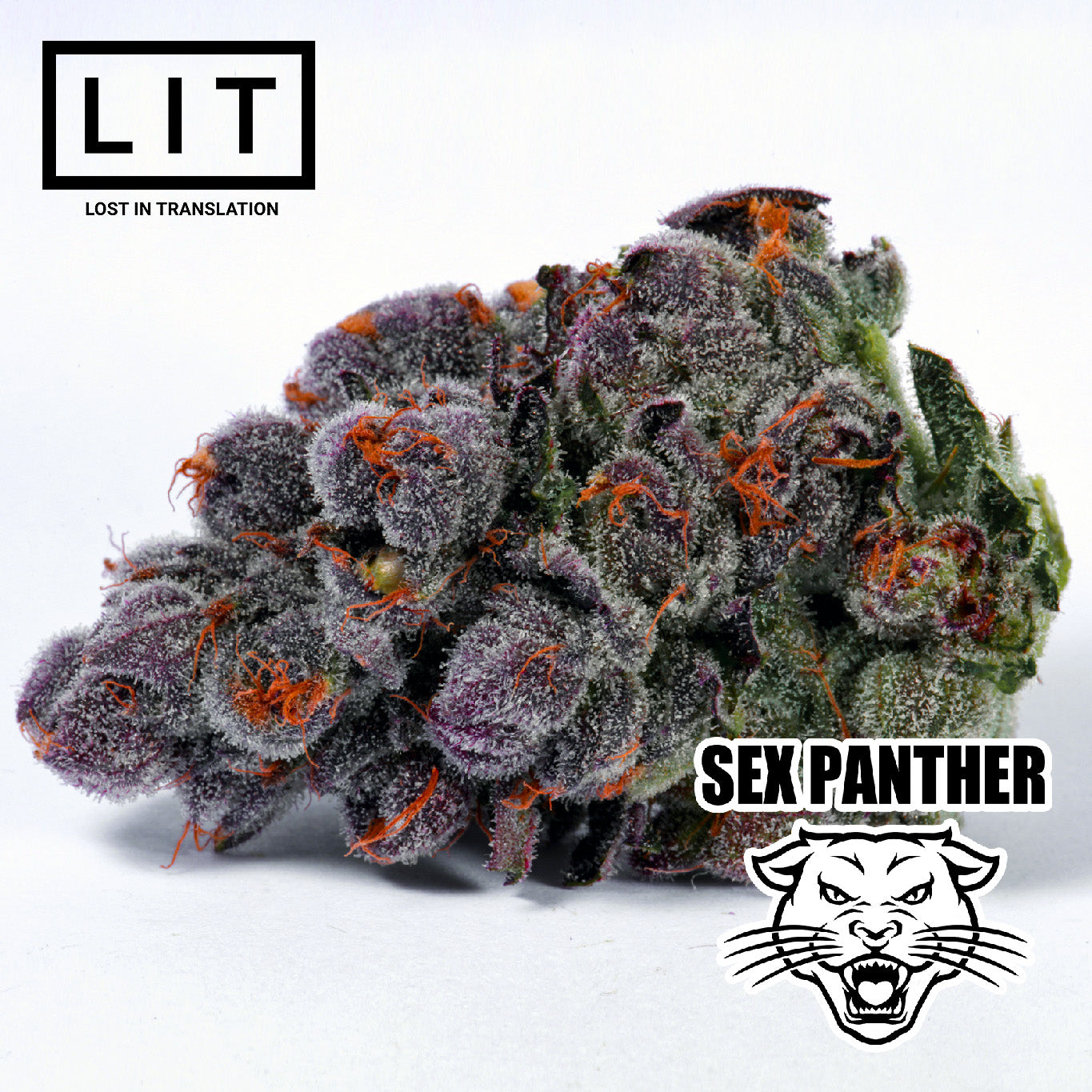 SEX PANTHER (FIRE CROTCH X ZOAP) FEMS