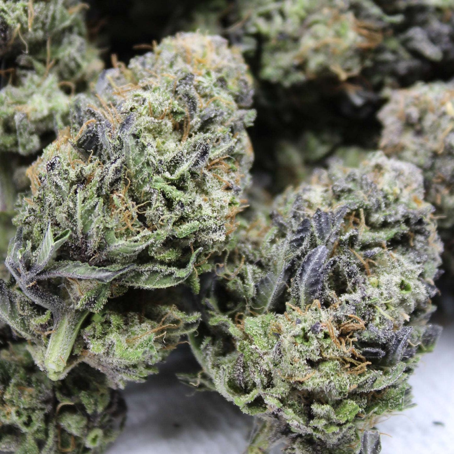 Purple Pineapple Express S1