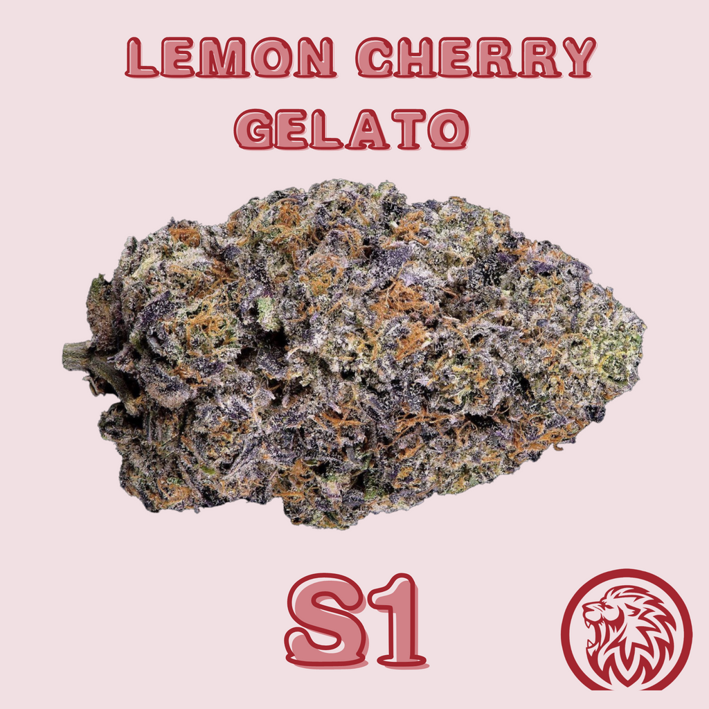 Lemon Cherry Gelato S1