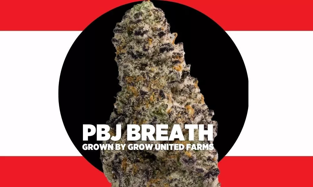 PBJ BREATH CANNABIS STRAIN SEEDS