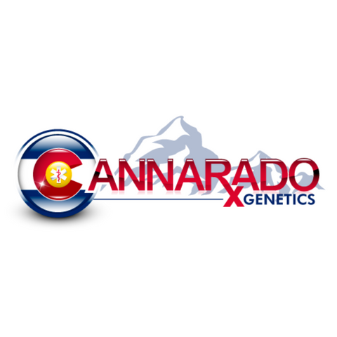 CANNARADO GENETICS