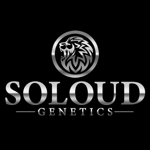 SOLOUD GENETICS