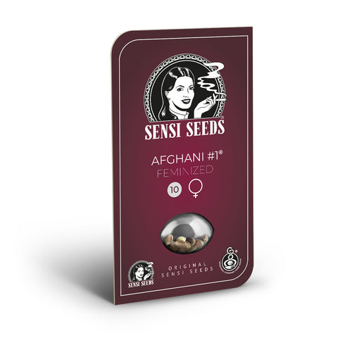 Sensi Seeds Afghani #1 Feminized Cannabis Seeds United States