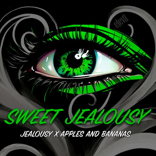Sweet Jealousy Feminized Seeds - 6 — Elev8 Seeds