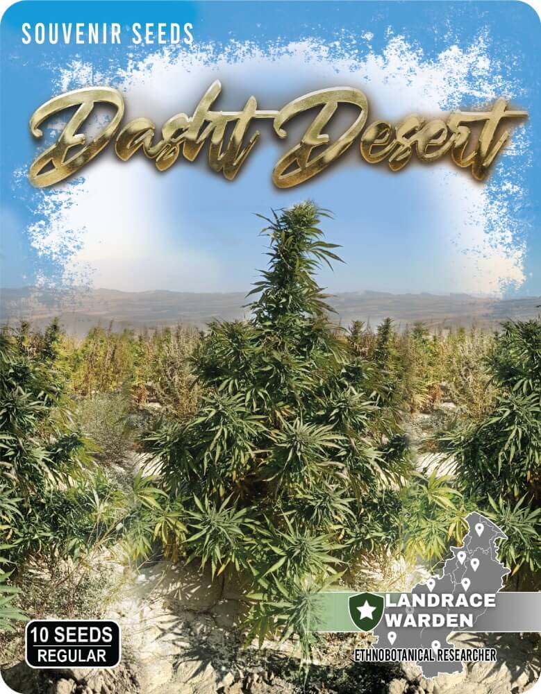 Dasht Desert Regular Seeds - 10 — Landrace Warden