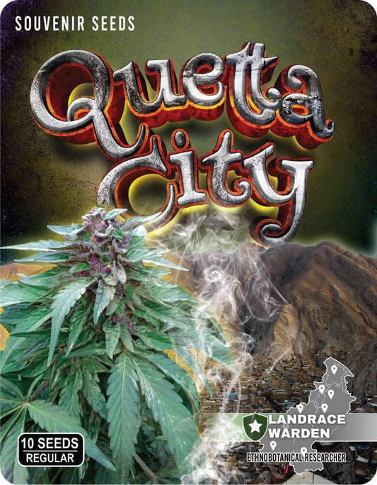 Quetta City Regular Seeds - 10 — Landrace Warden