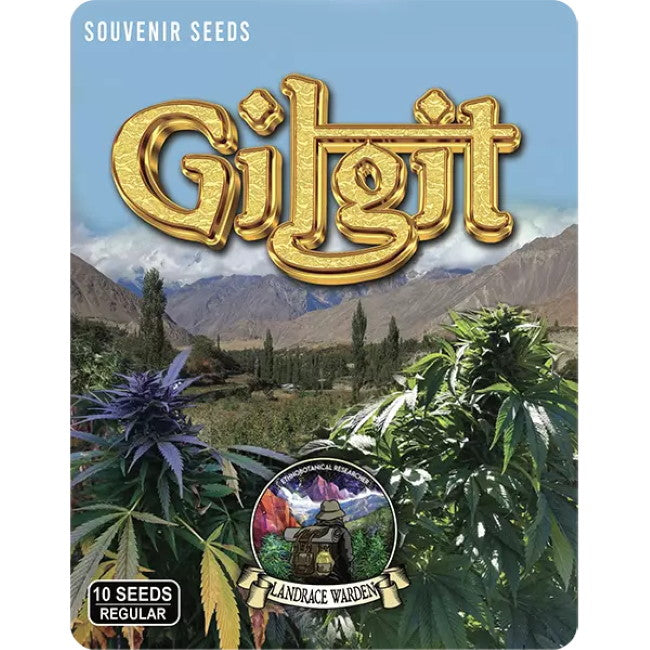 Gilgit Purple Regular Seeds - 10 — Landrace Warden