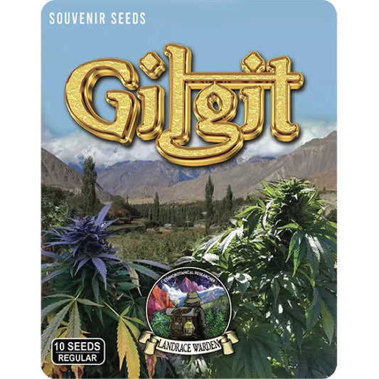 Gilgit Green Regular Seeds - 5 — Landrace Warden