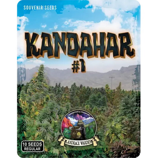 Kandahar Arghandab #1 Regular Seeds - 10 — Landrace Warden