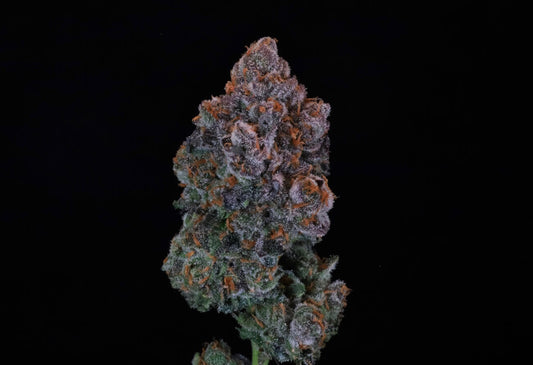 Green Apple Candy Feminized Seeds - 5 — Atlas Seed