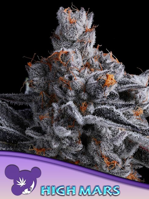 High Mars Feminized Seeds — Anesia Seeds