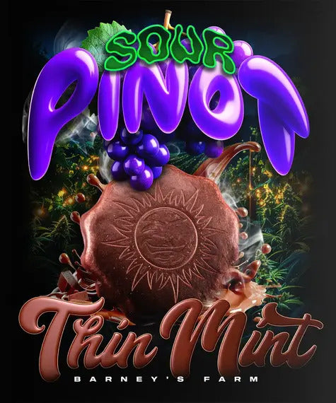 Thin Mint x Sour Pinot Auto Feminized Seeds - 5 — Barney's Farm