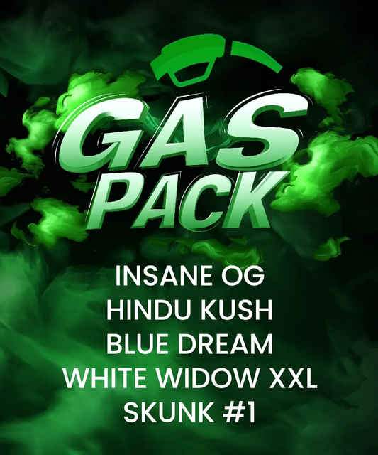 Gas Pack Bundle Feminized Seeds - 5 — Barney's Farm