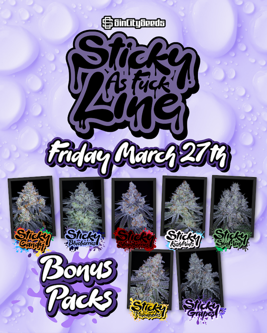 STICKY AS FUCK (FULL BOX SET) 7-PACKS LIMITED EDITION + MERCH