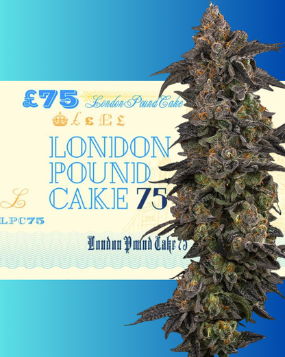 LONDON POUND CAKE S1