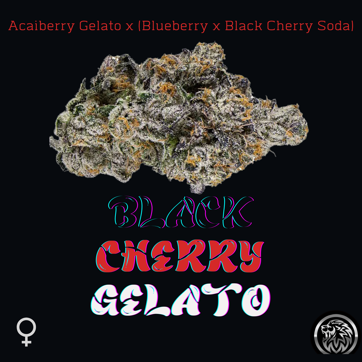 BLACK CHERRY GELATO (FEM)